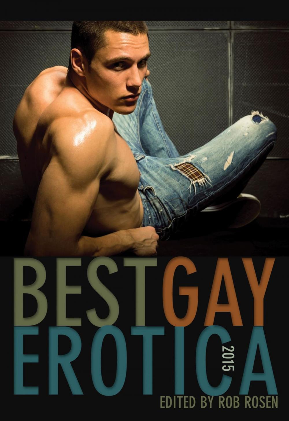 Big bigCover of Best Gay Erotica 2015