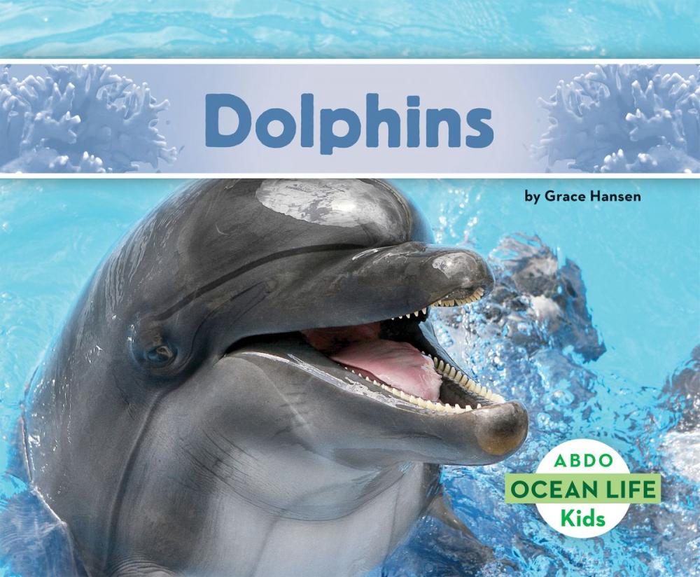 Big bigCover of Dolphins