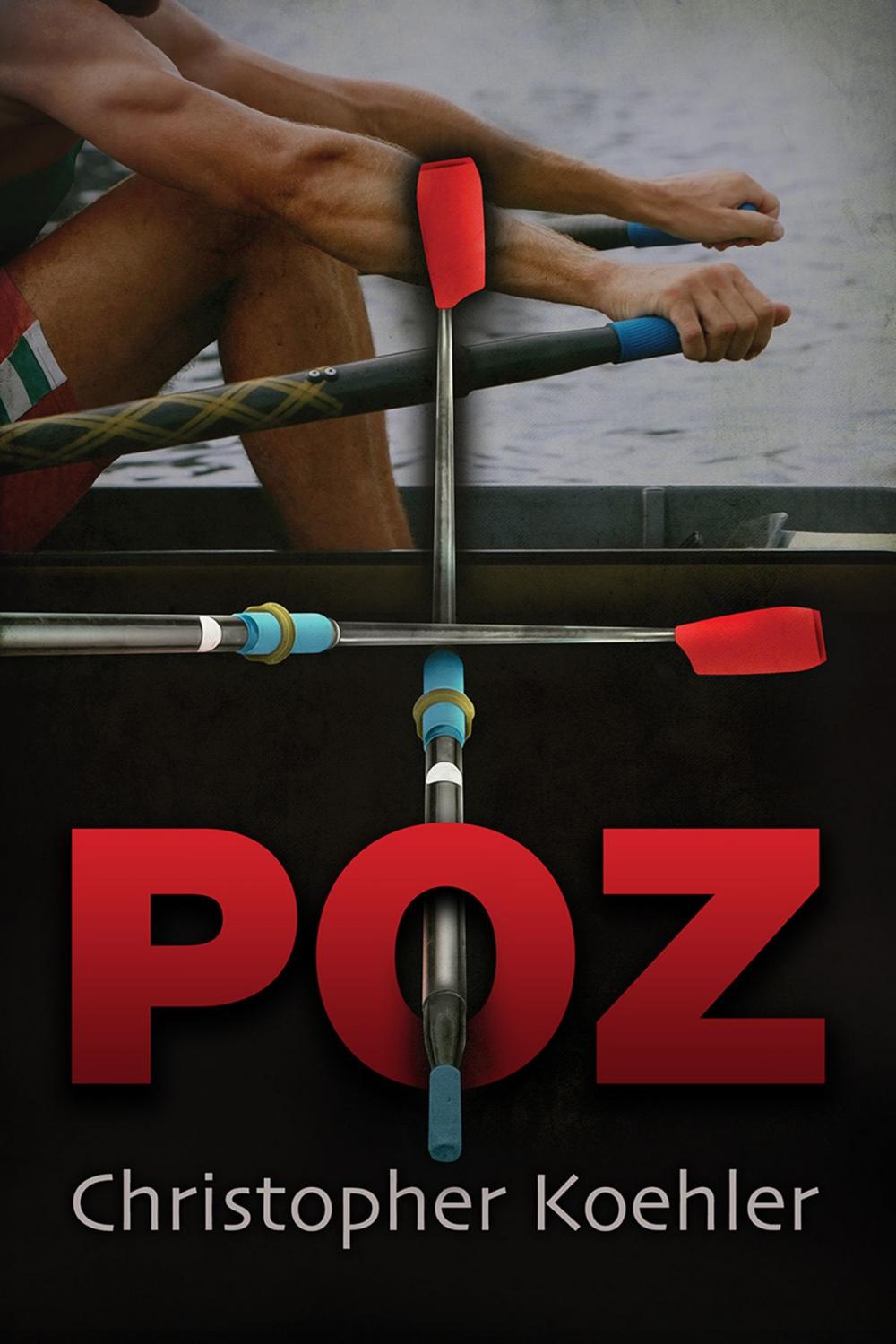 Big bigCover of Poz