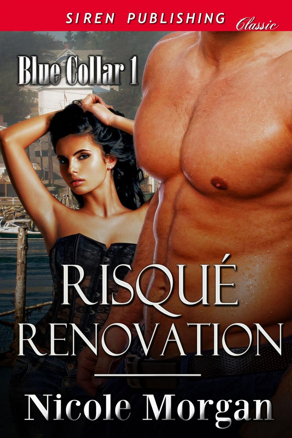 Big bigCover of Risque Renovation