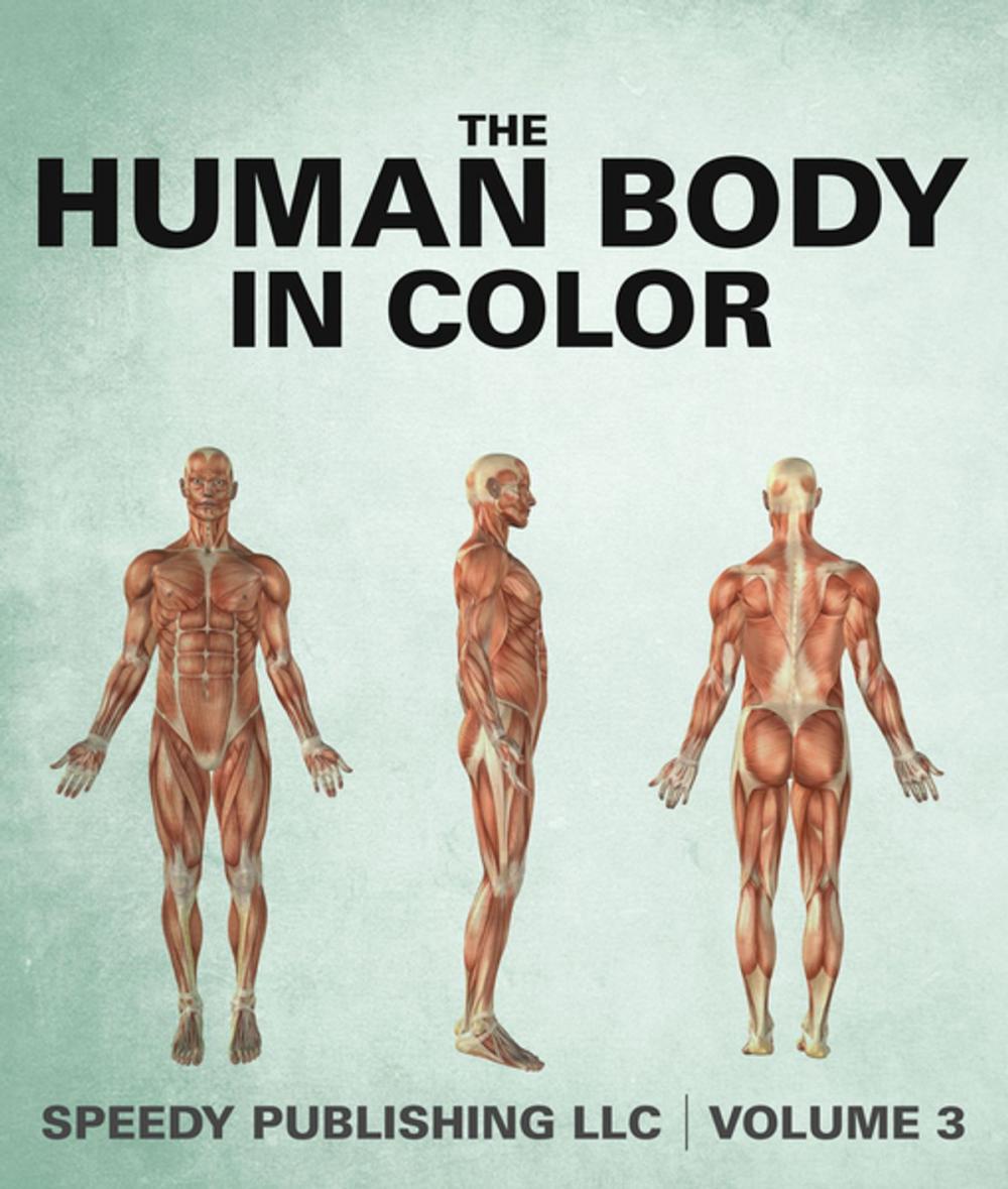 Big bigCover of The Human Body In Color Volume 3