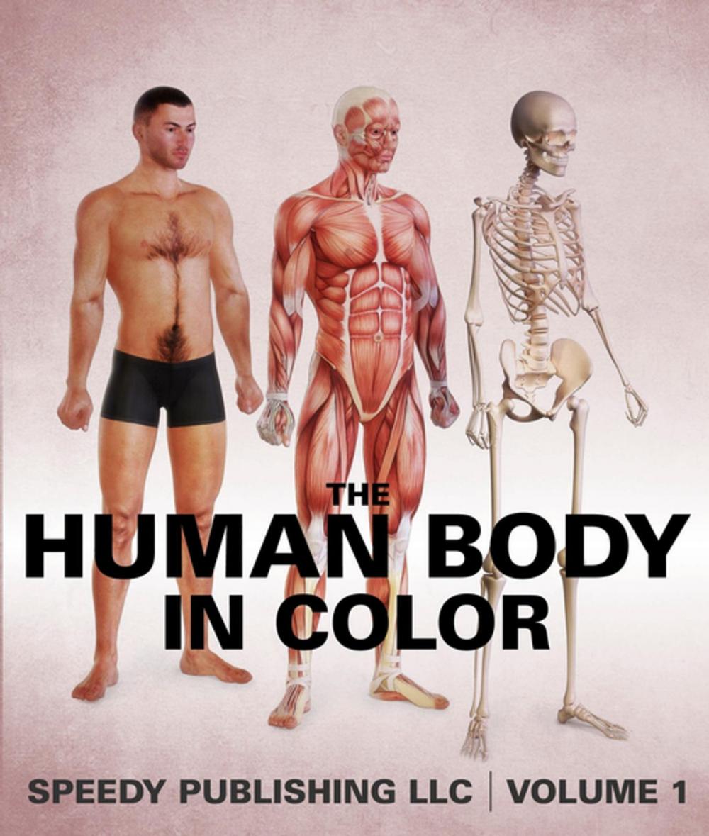 Big bigCover of The Human Body In Color Volume 1