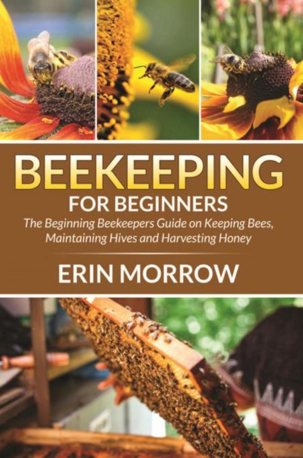 Big bigCover of Beekeeping For Beginners