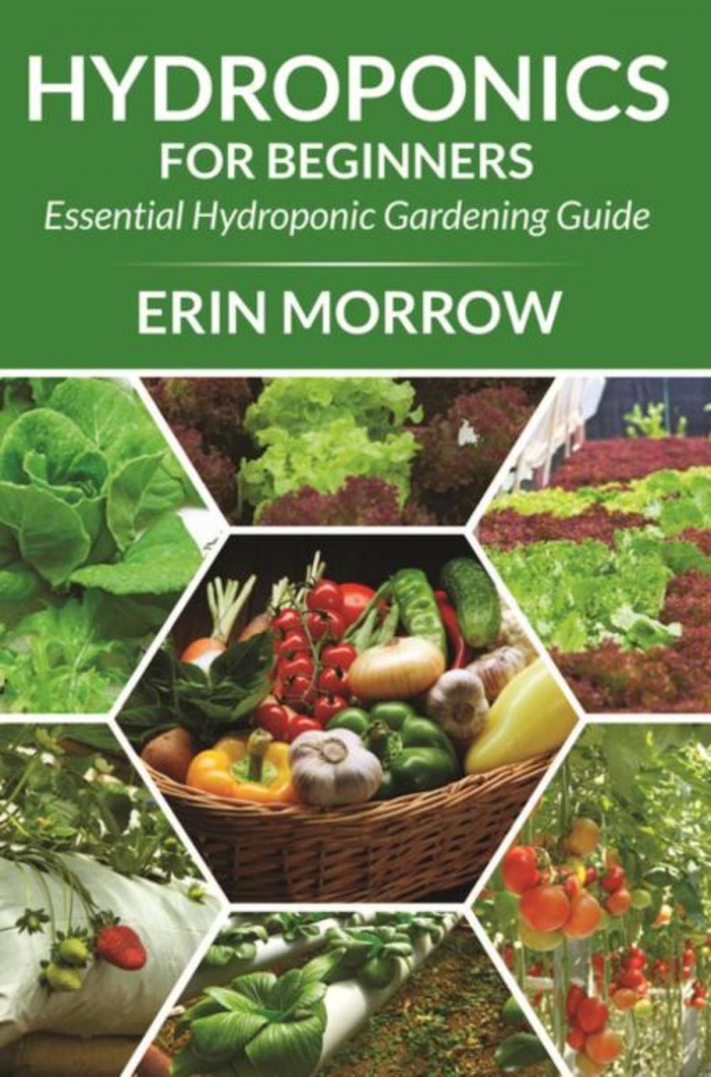 Big bigCover of Hydroponics For Beginners