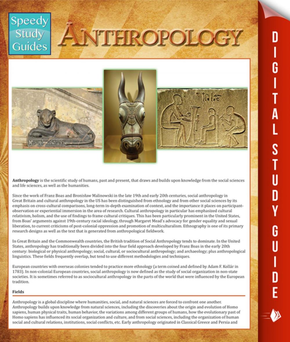 Big bigCover of Anthropology (Speedy Study Guides)