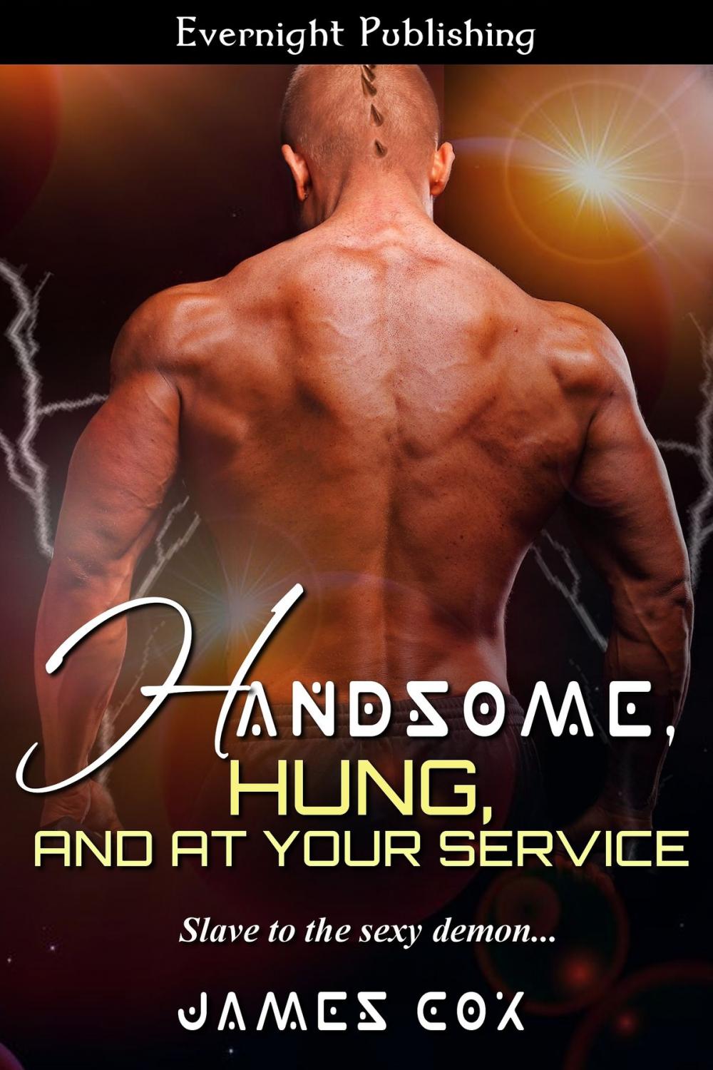 Big bigCover of Handsome, Hung, and at Your Service