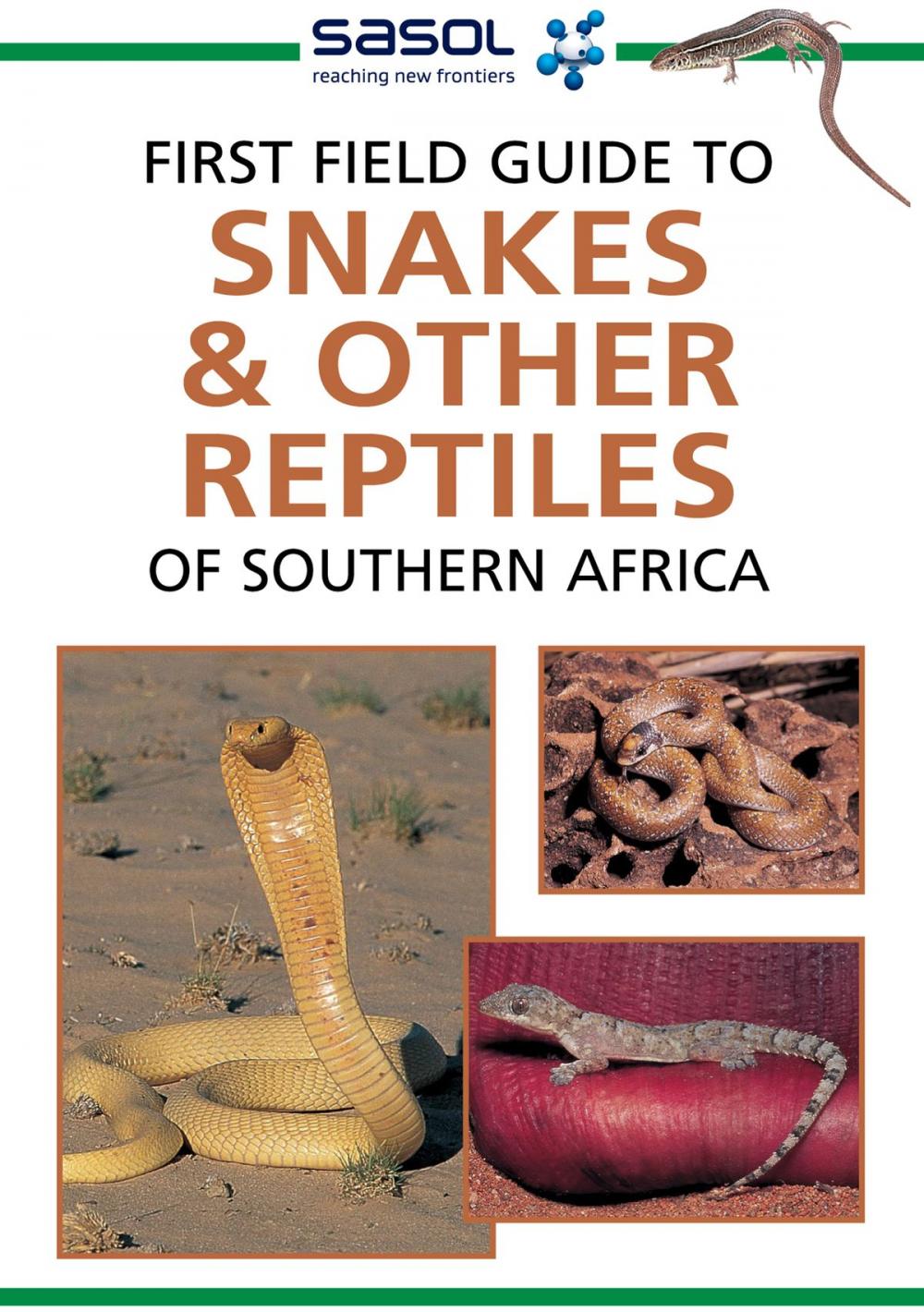 Big bigCover of First Field Guide to Snakes & other Reptiles of Southern Africa