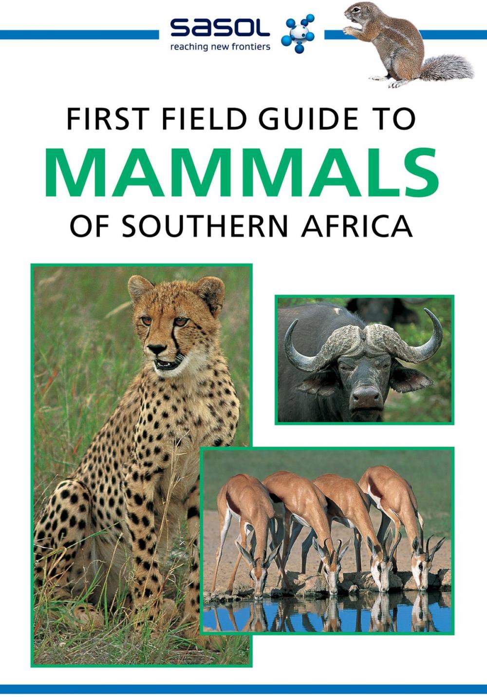 Big bigCover of First Field Guide to Mammals of Southern Africa