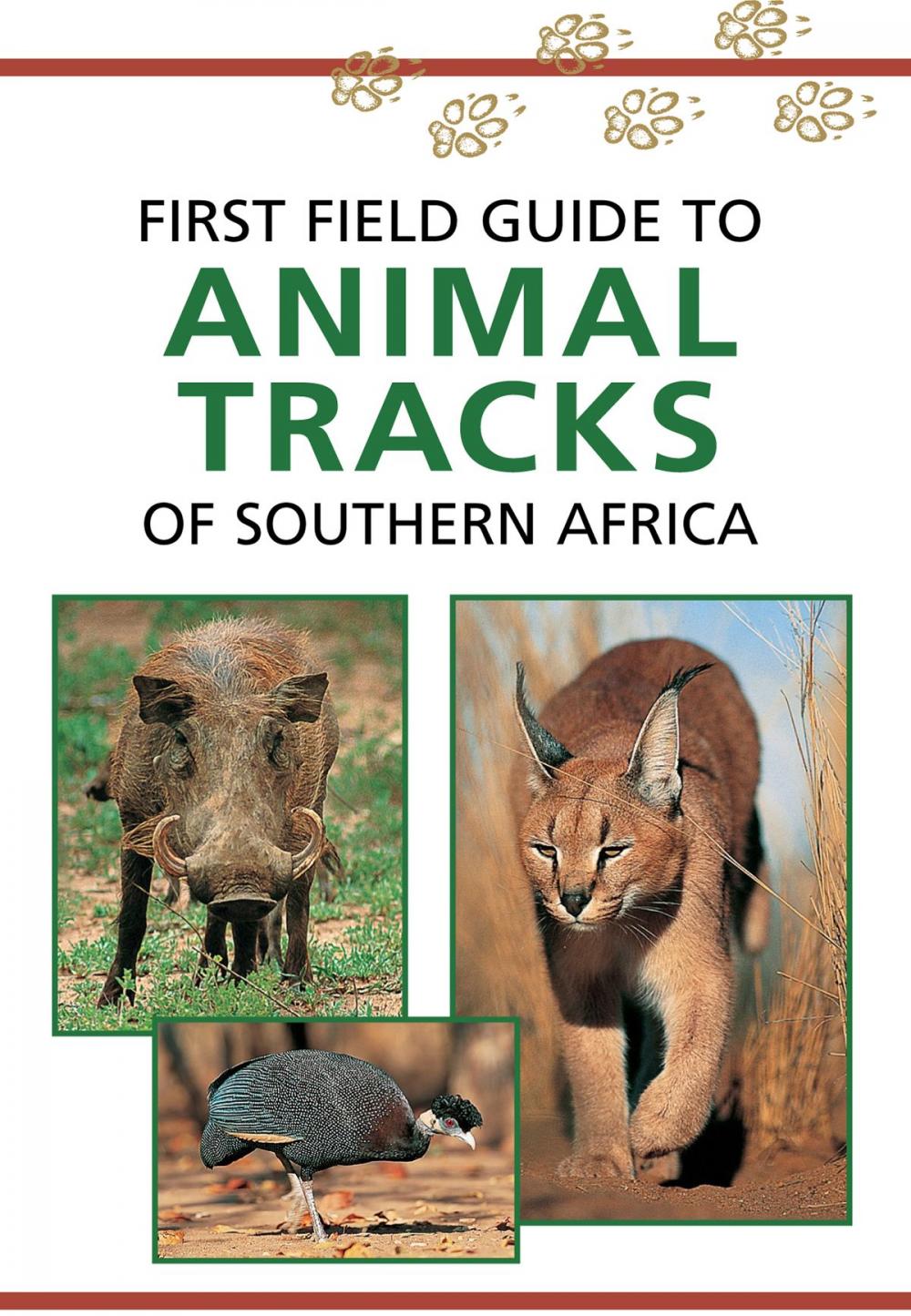 Big bigCover of First Field Guide to Animal Tracks of Southern Africa