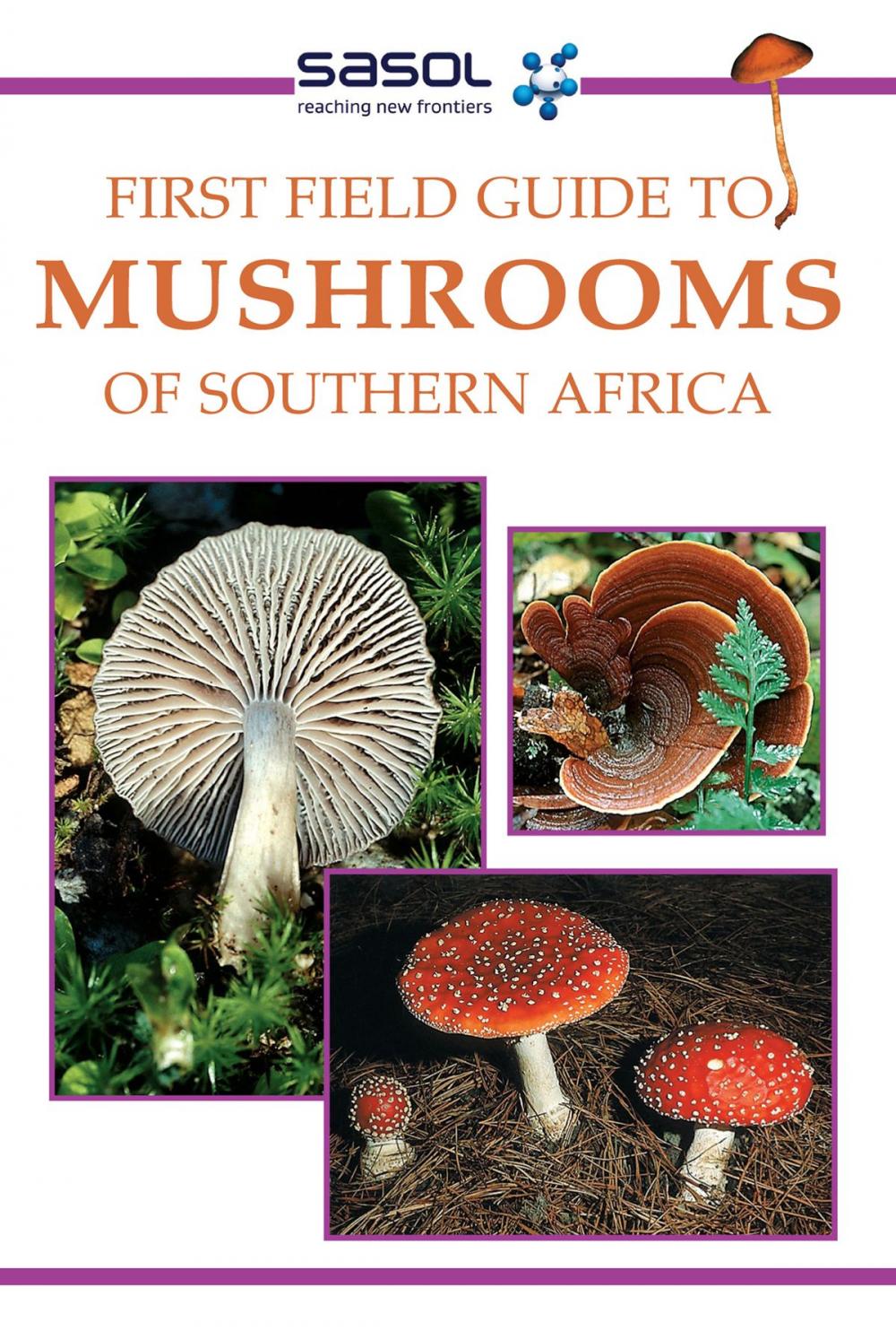 Big bigCover of First Field Guide to Mushrooms of Southern Africa