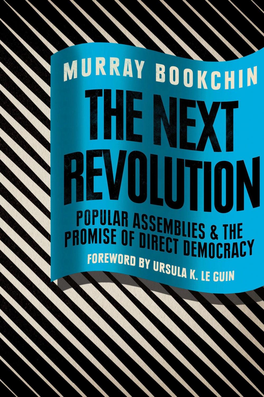 Big bigCover of The Next Revolution