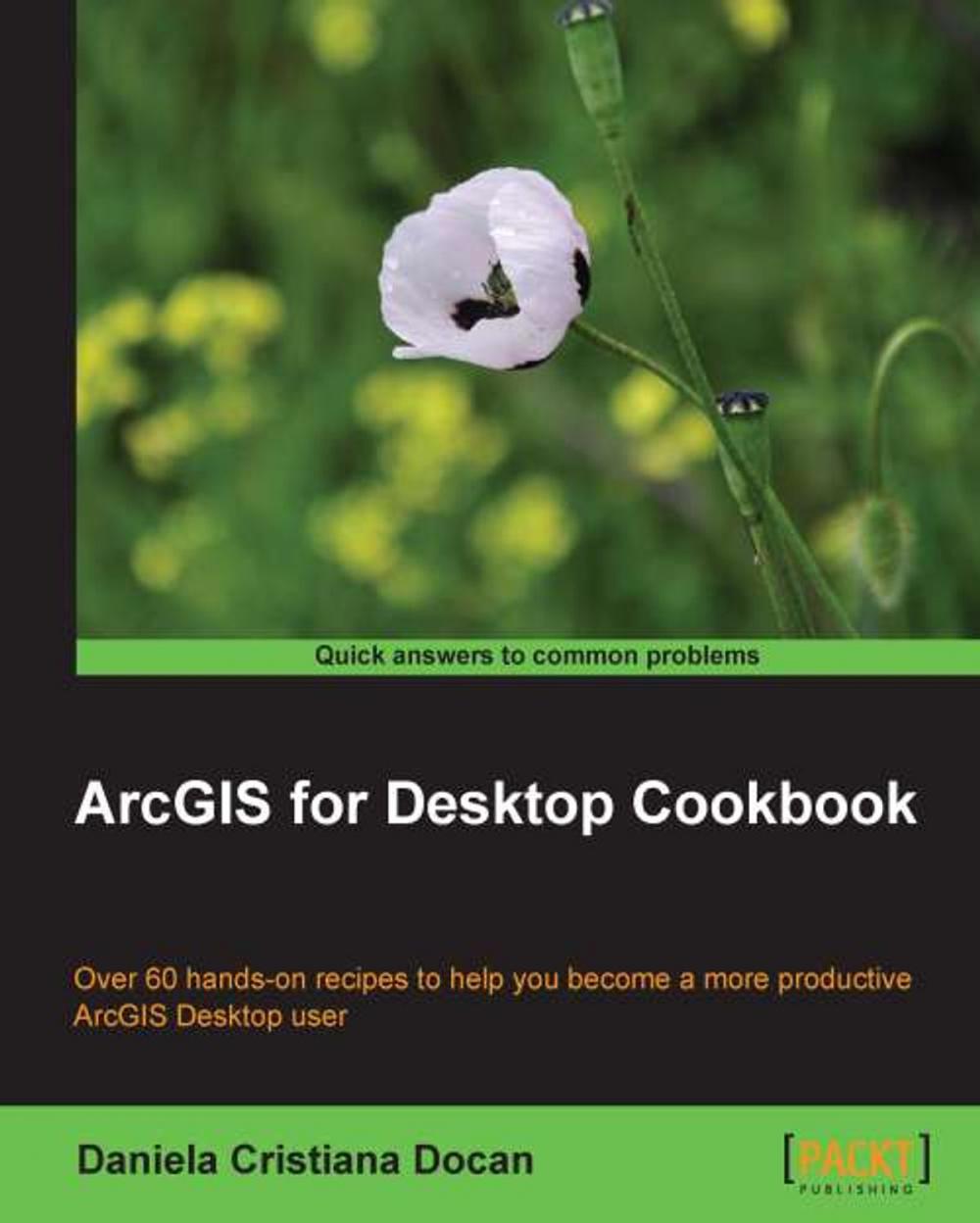 Big bigCover of ArcGIS for Desktop Cookbook