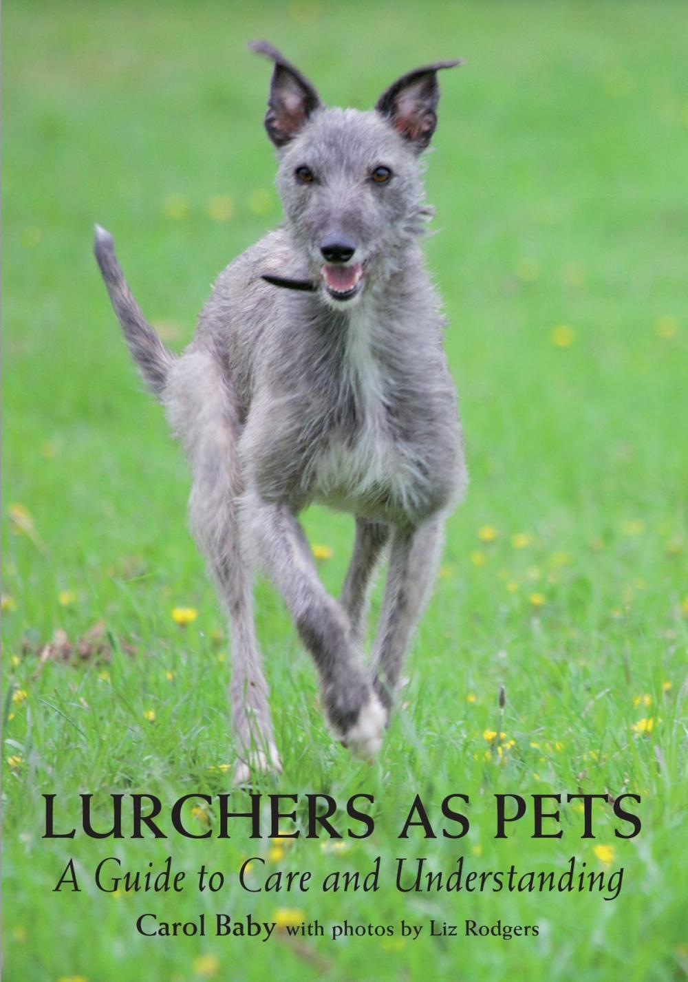 Big bigCover of Lurchers as Pets