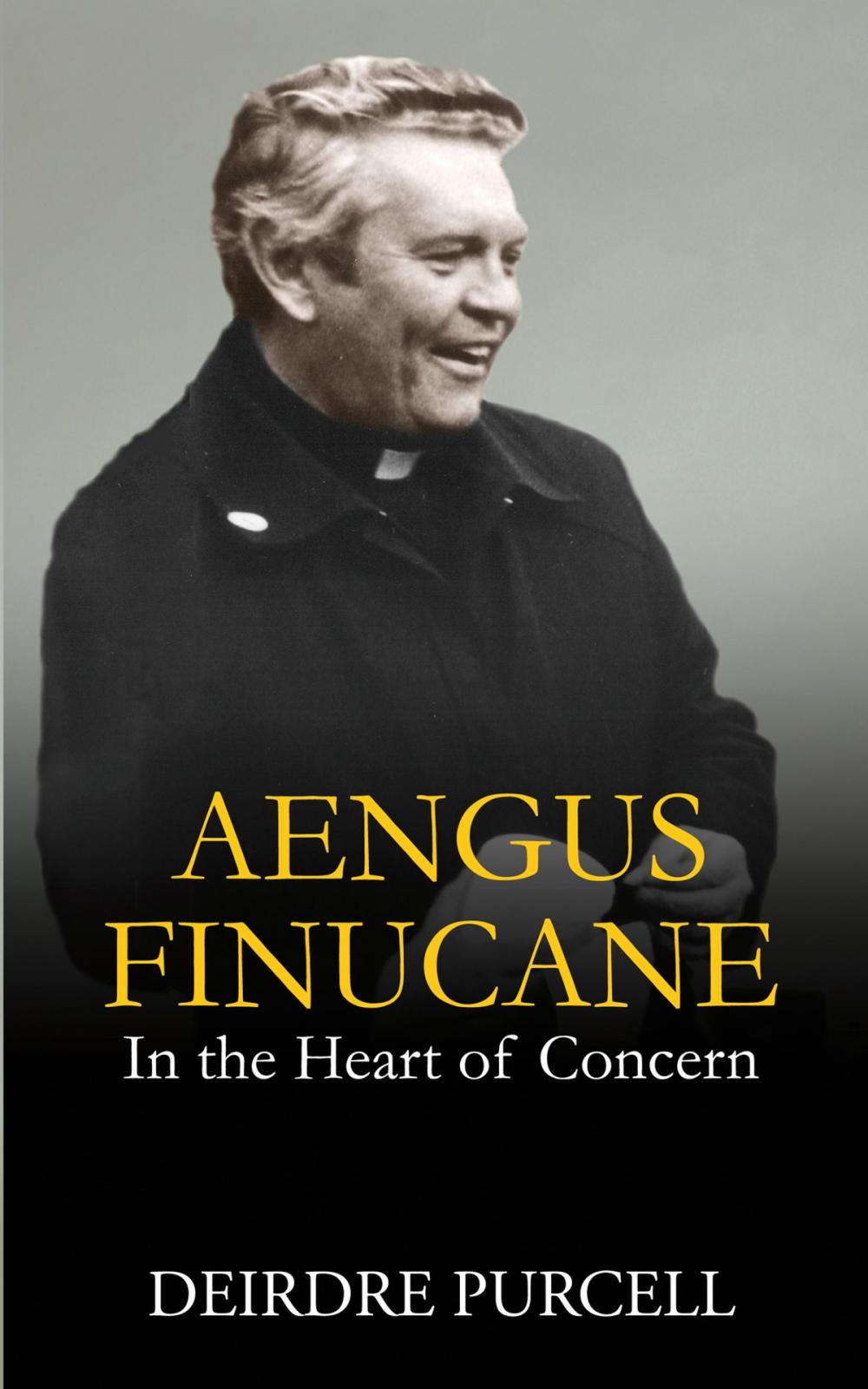 Big bigCover of Aengus Finuncane