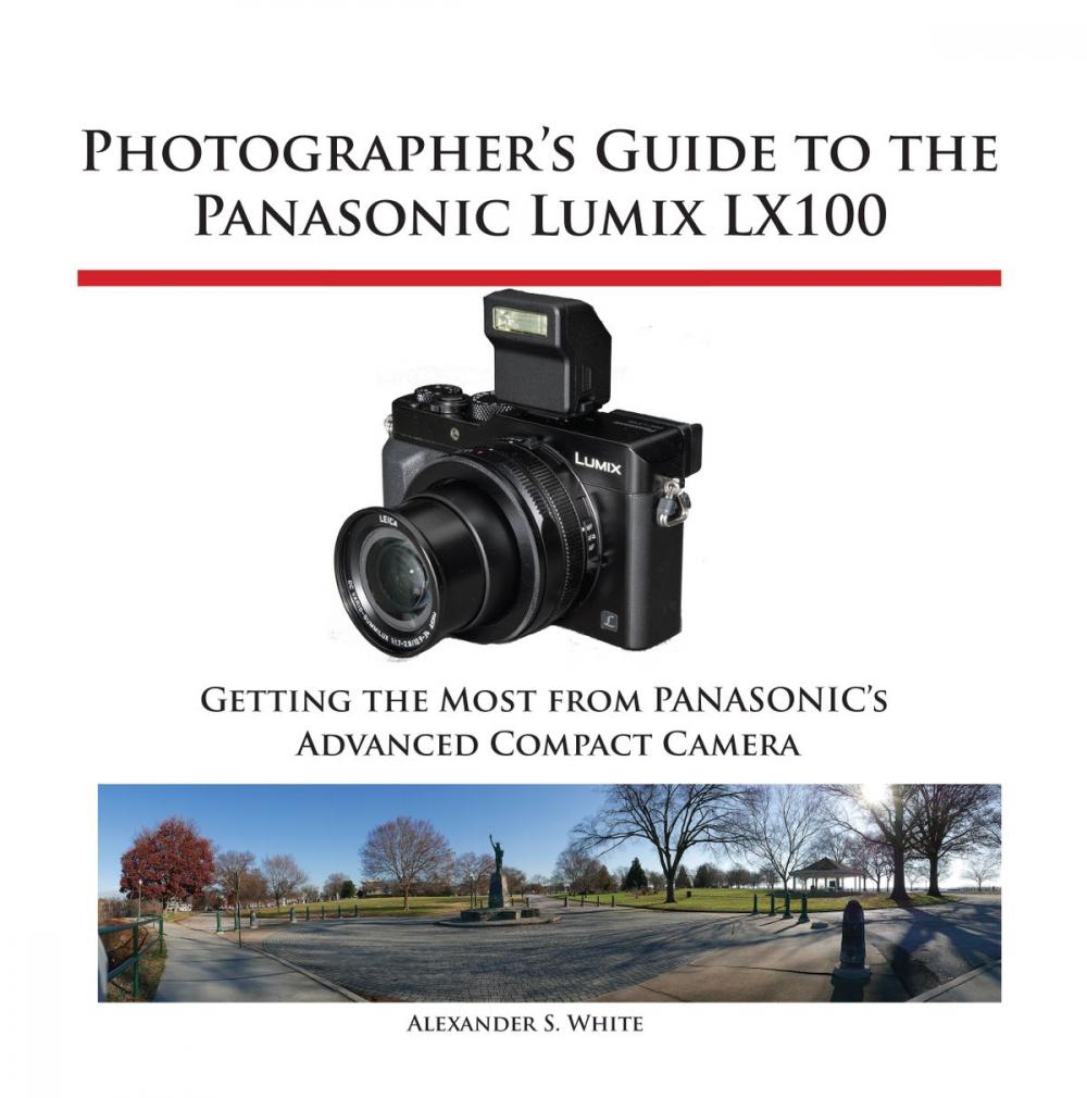 Big bigCover of Photographer's Guide to the Panasonic Lumix LX100