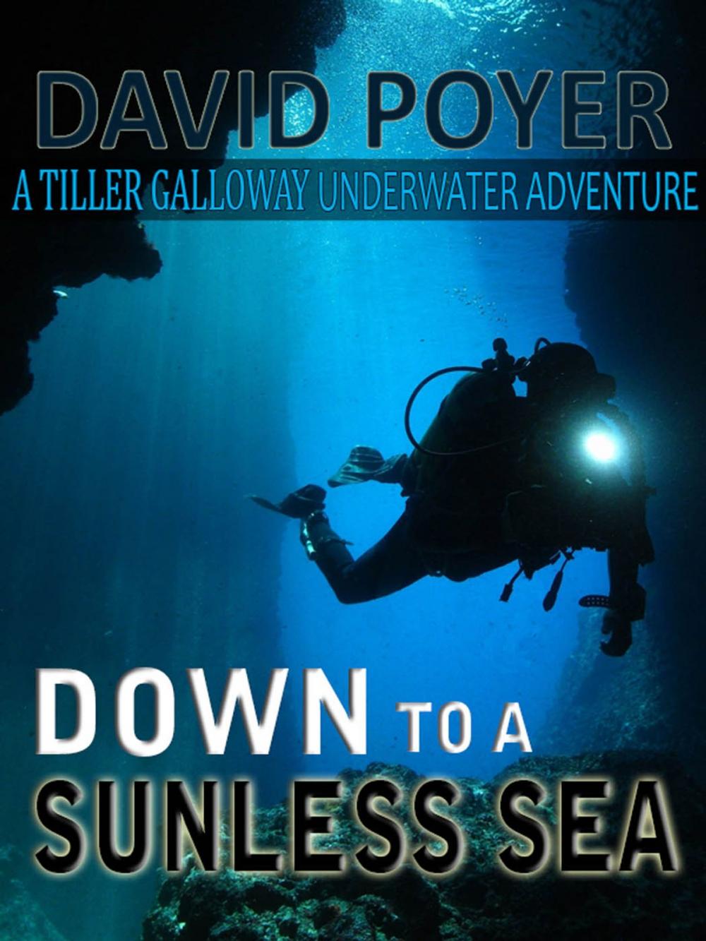 Big bigCover of DOWN TO A SUNLESS SEA