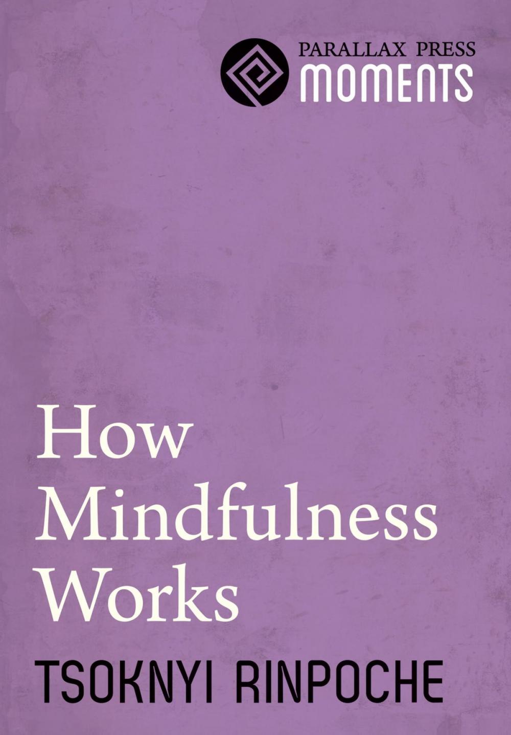 Big bigCover of How Mindfulness Works