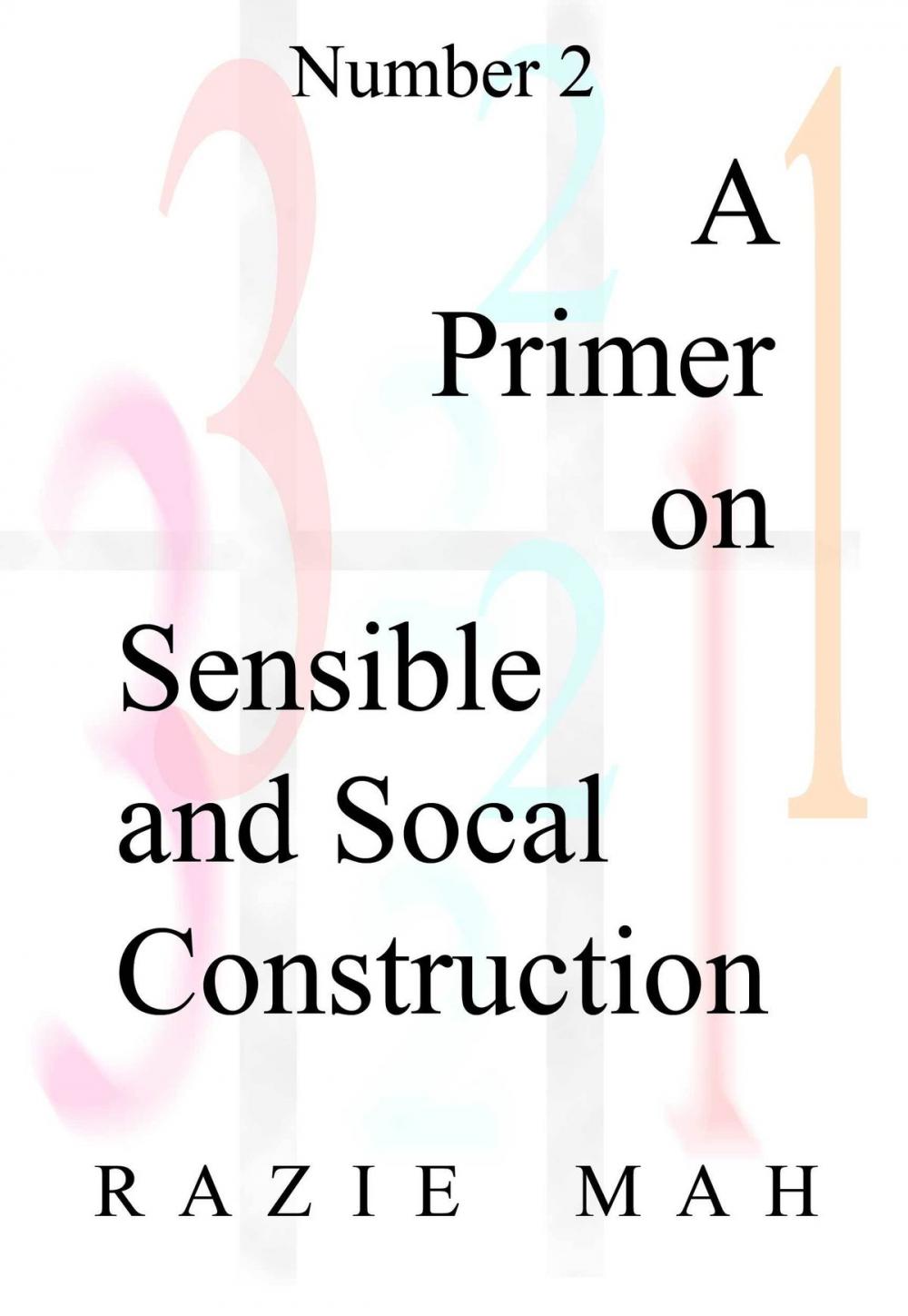 Big bigCover of A Primer on Sensible and Social Construction