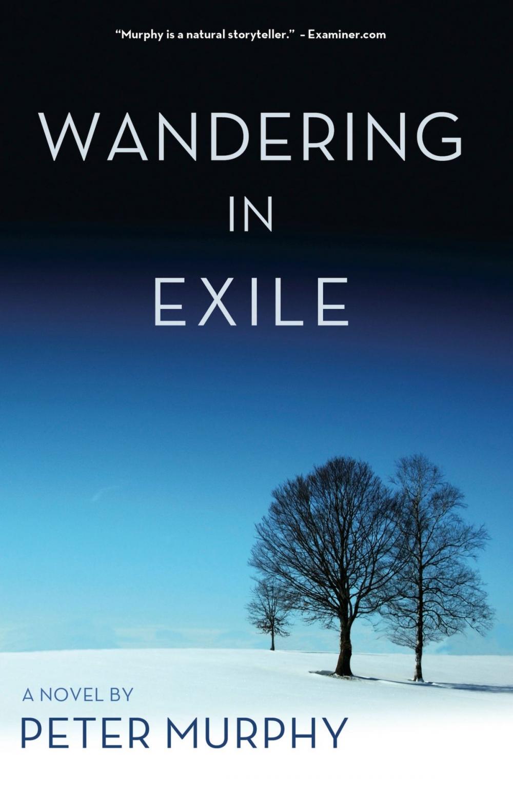 Big bigCover of Wandering in Exile