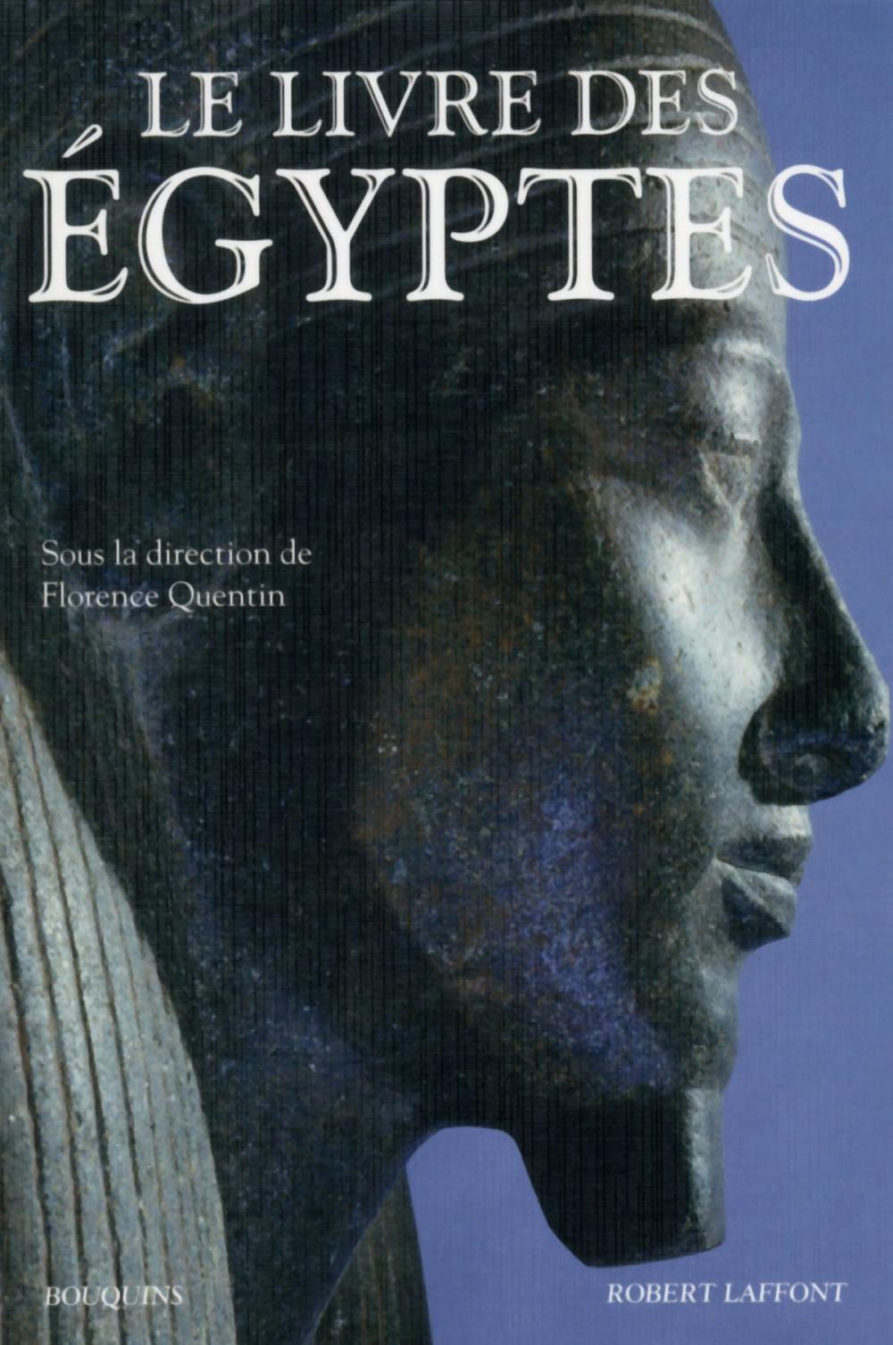 Big bigCover of Le Livre des Égyptes