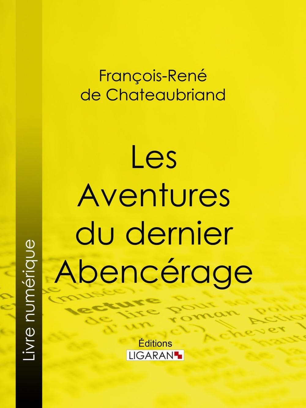 Big bigCover of Les Aventures du dernier Abencérage