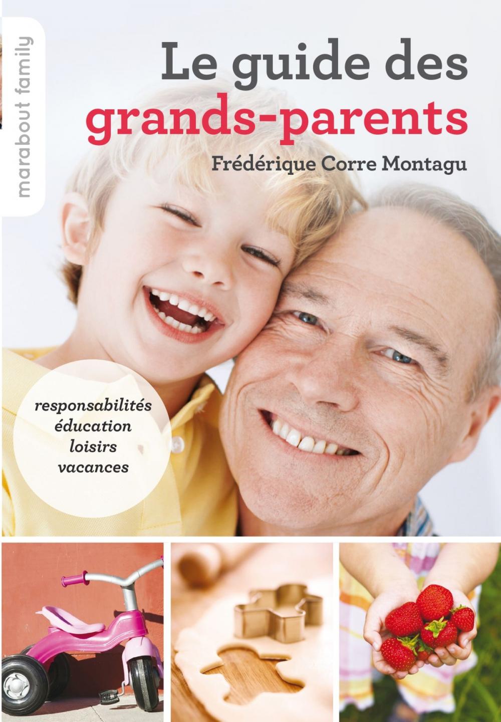 Big bigCover of Le guide des grands-parents