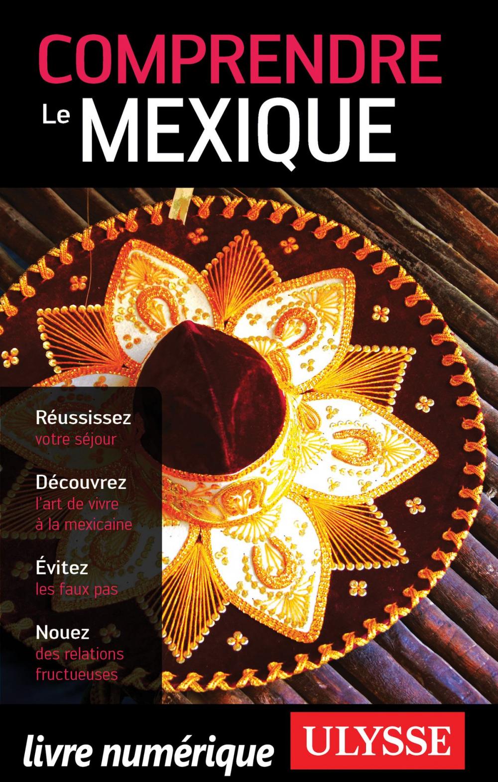 Big bigCover of Comprendre le Mexique