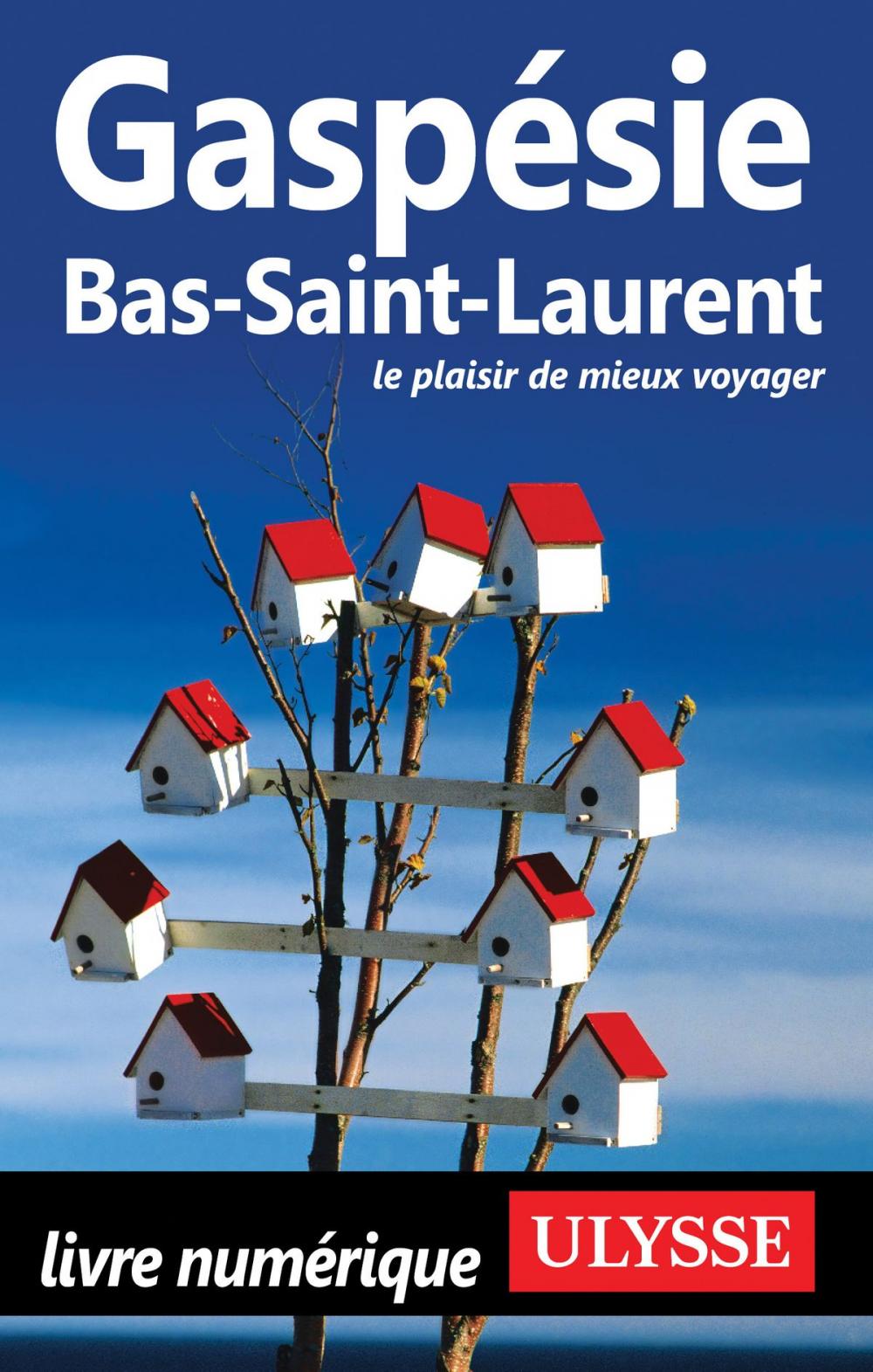 Big bigCover of Gaspésie, Bas-Saint-Laurent