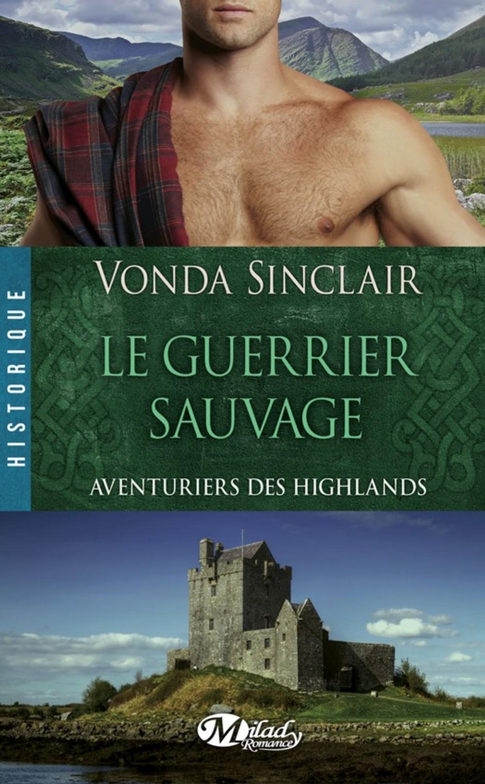 Big bigCover of Le Guerrier sauvage