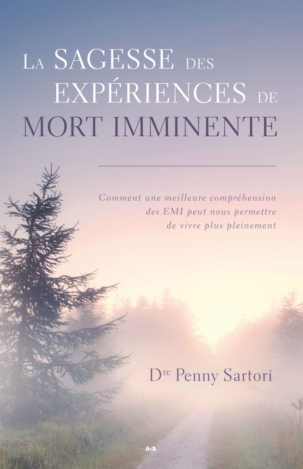 Big bigCover of La sagesse des expériences de mort imminente