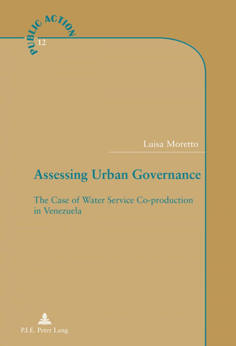 Big bigCover of Assessing Urban Governance