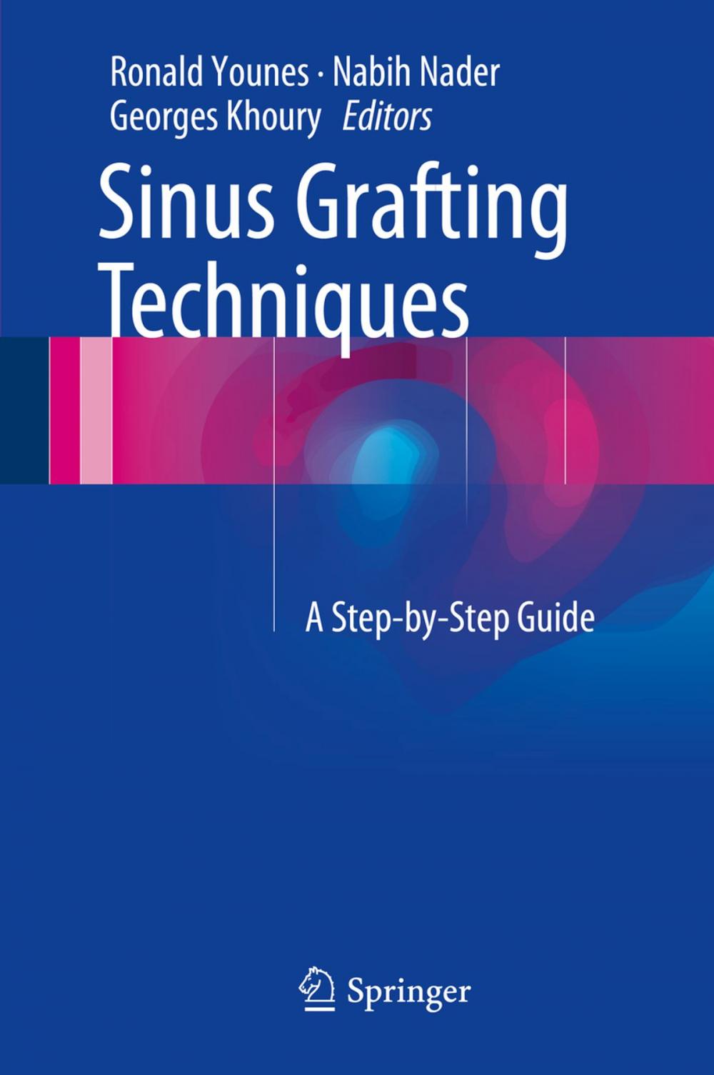 Big bigCover of Sinus Grafting Techniques