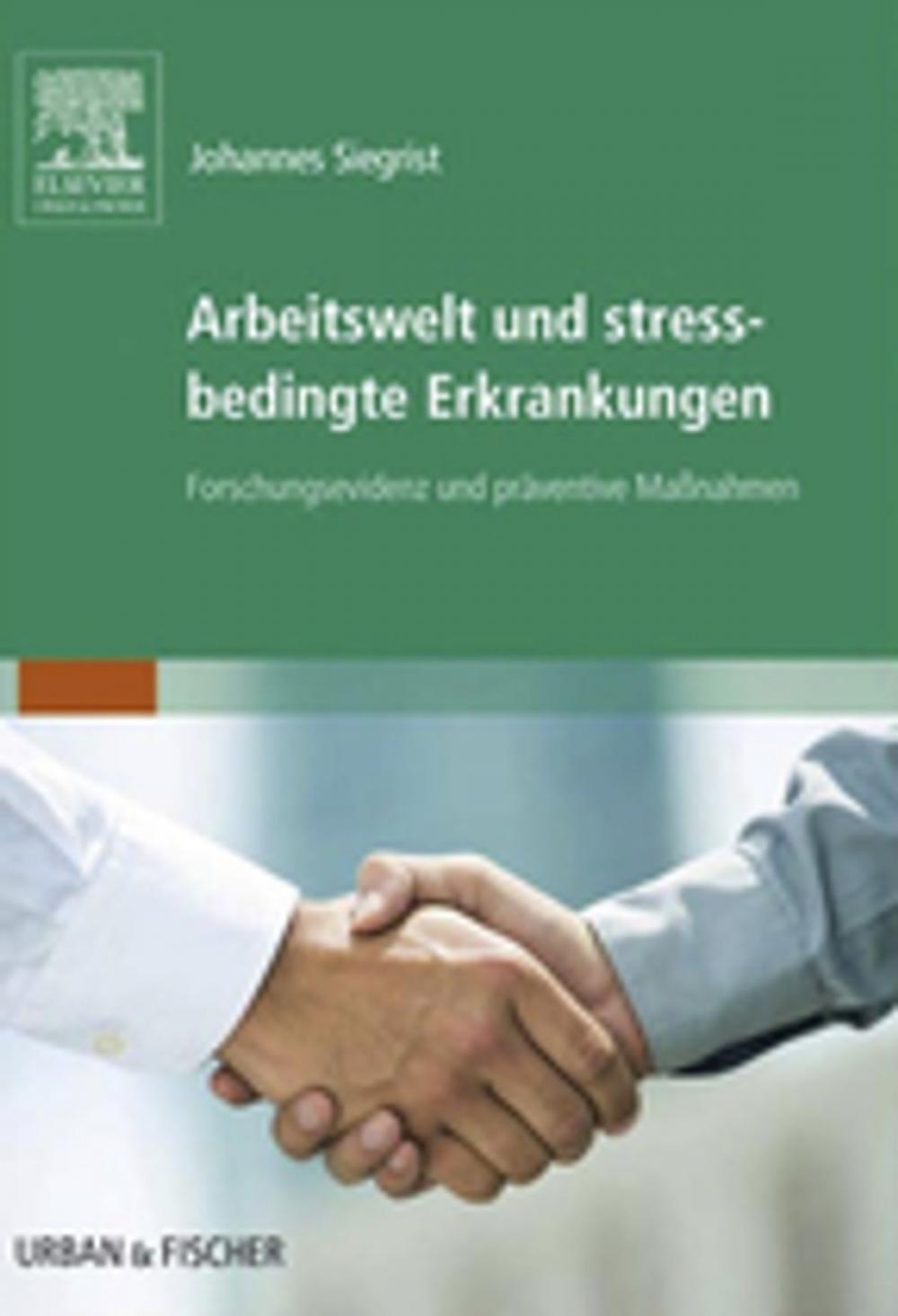 Big bigCover of Arbeitswelt und stressbedingte Erkrankungen