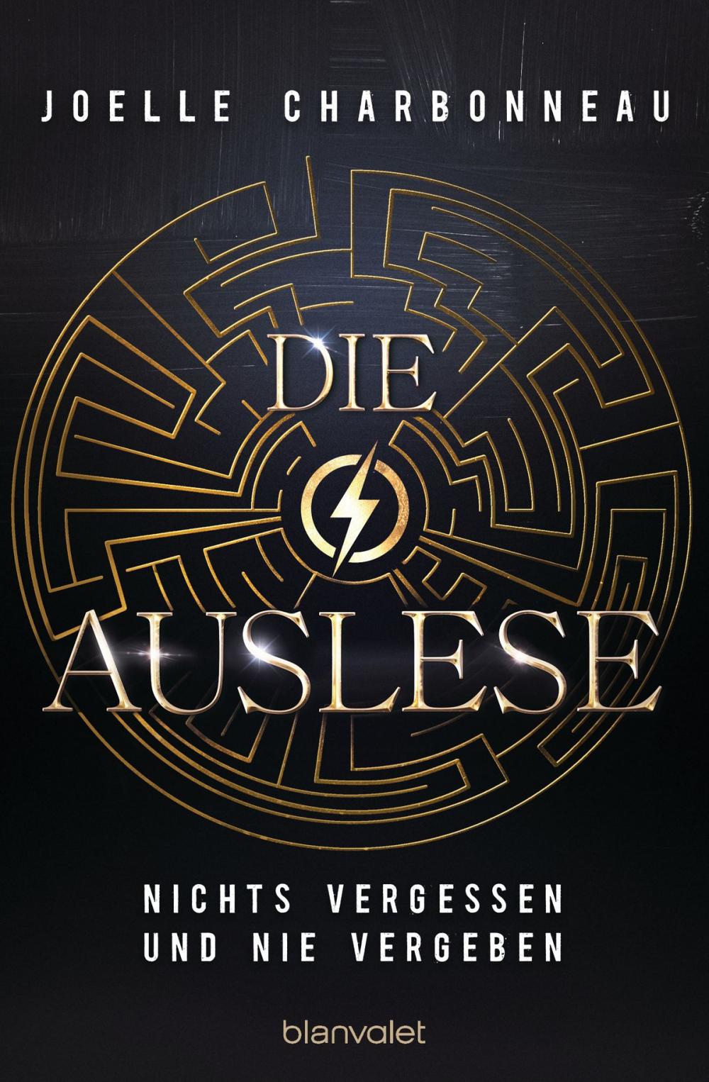 Big bigCover of Die Auslese - Nichts vergessen und nie vergeben