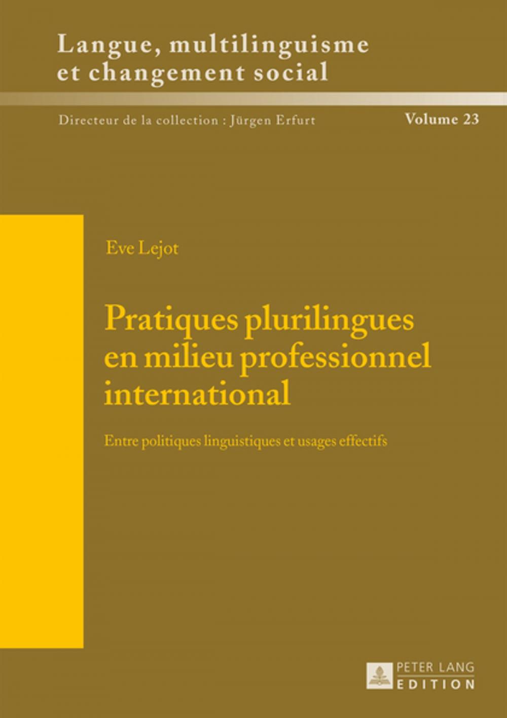 Big bigCover of Pratiques plurilingues en milieu professionnel international