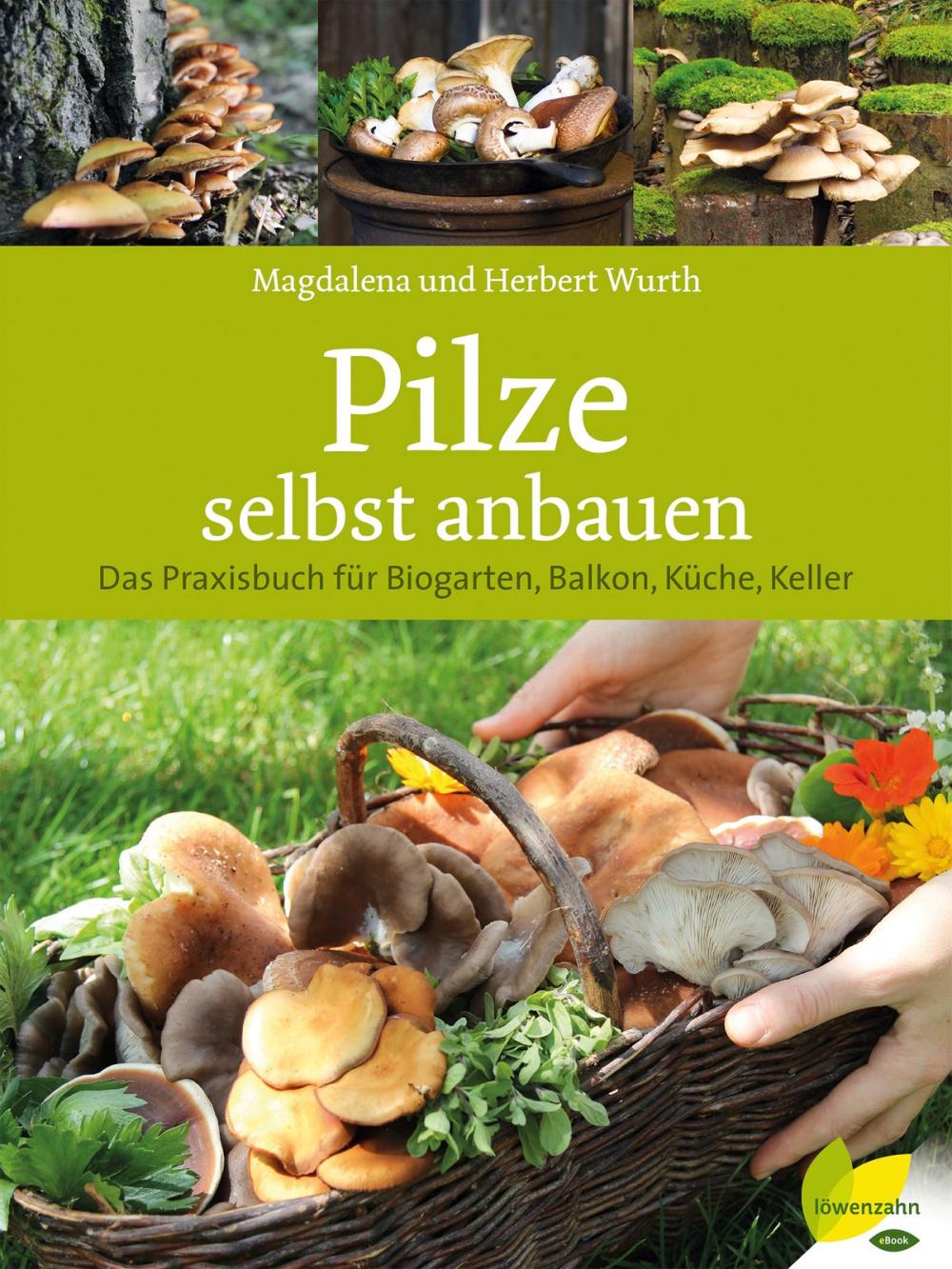 Big bigCover of Pilze selbst anbauen