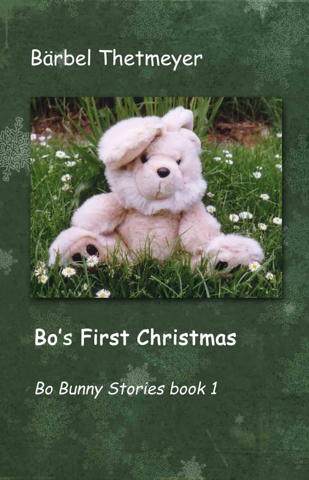 Big bigCover of Bo's First Christmas