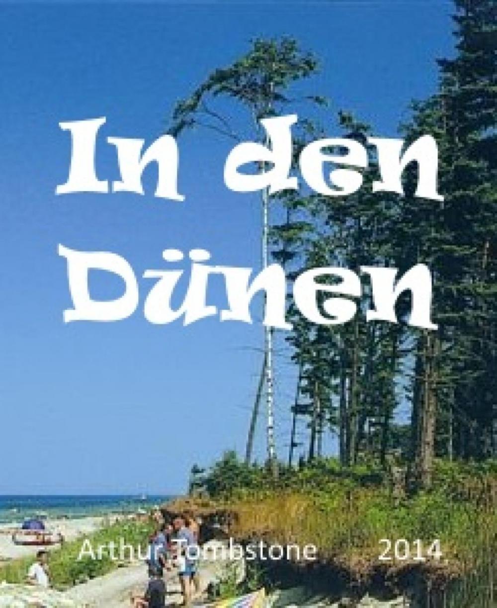 Big bigCover of In den Dünen