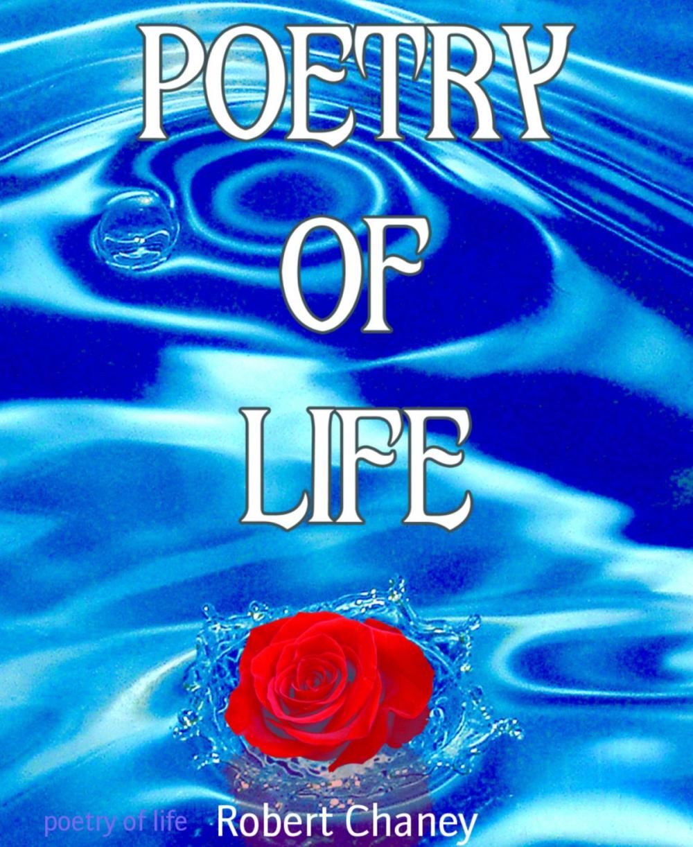 Big bigCover of poetry of life