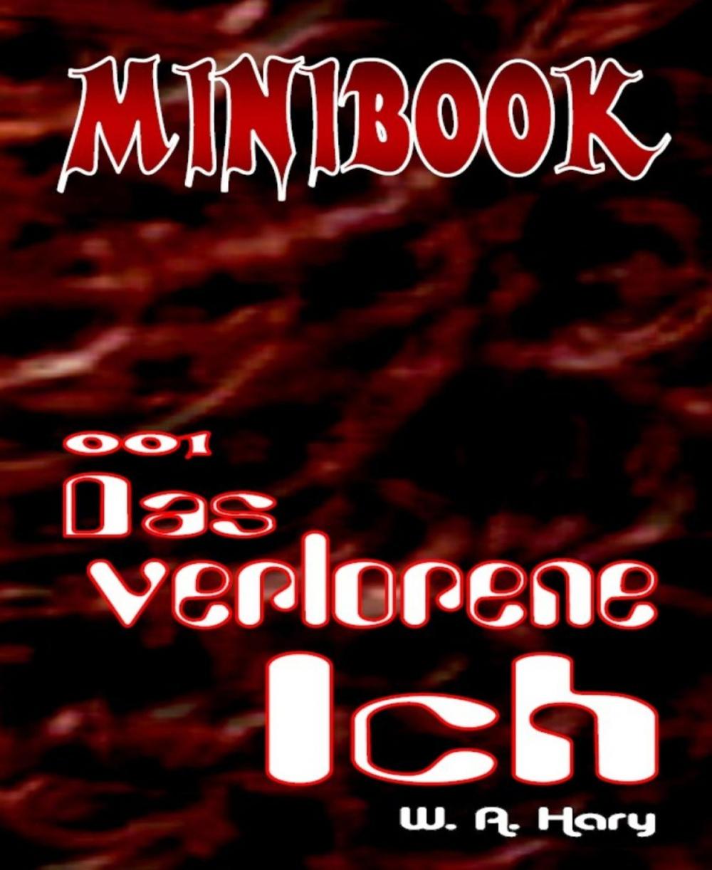 Big bigCover of MINIBOOK 001: Das verlorene Ich