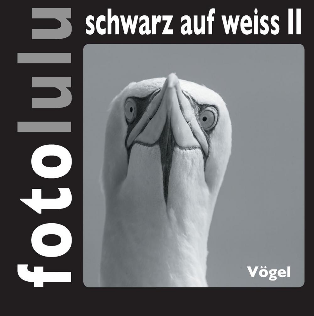 Big bigCover of fotolulu schwarz auf weiss II