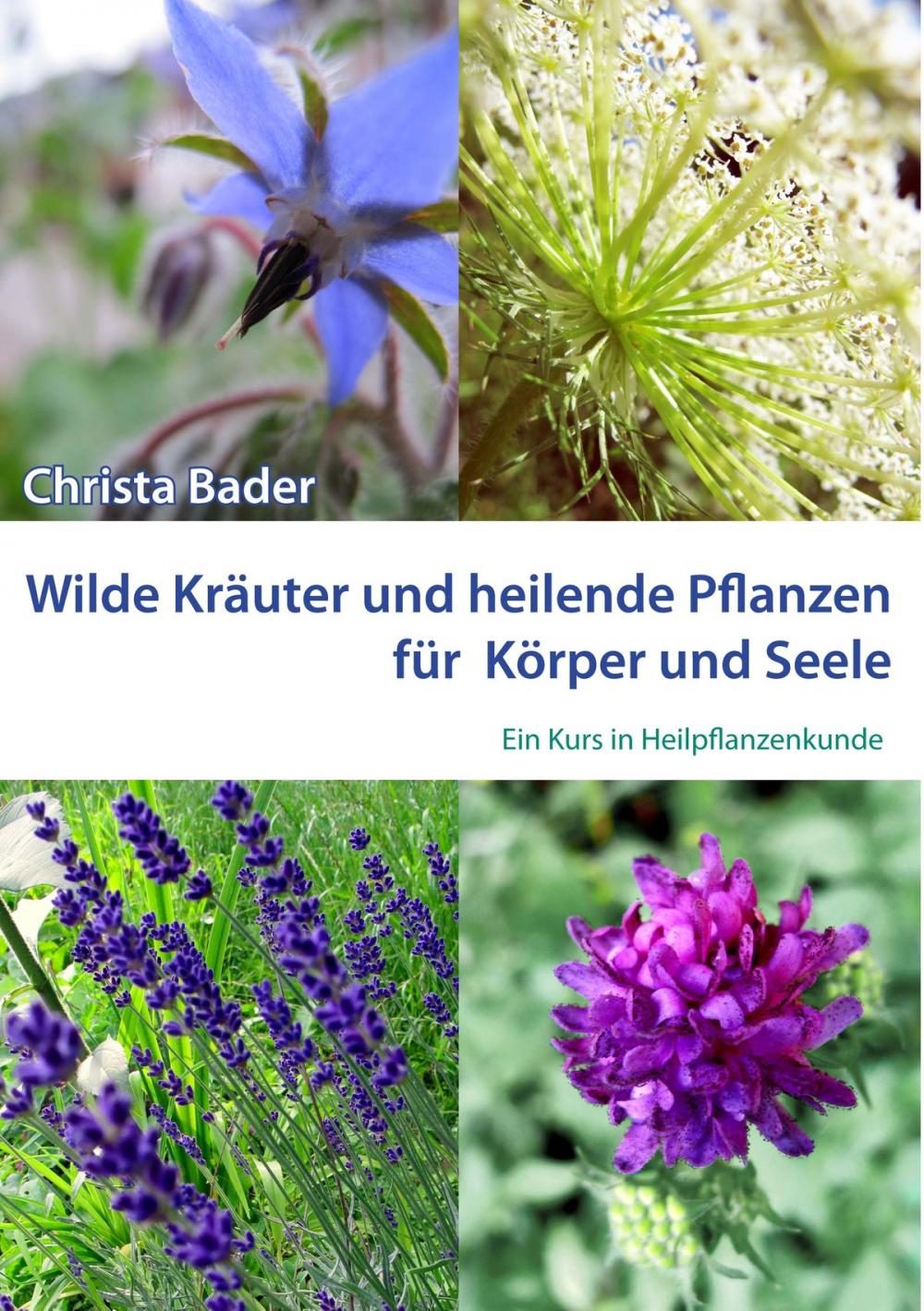 Big bigCover of Wilde Kräuter und Heilende Pflanzen für Körper und Seele