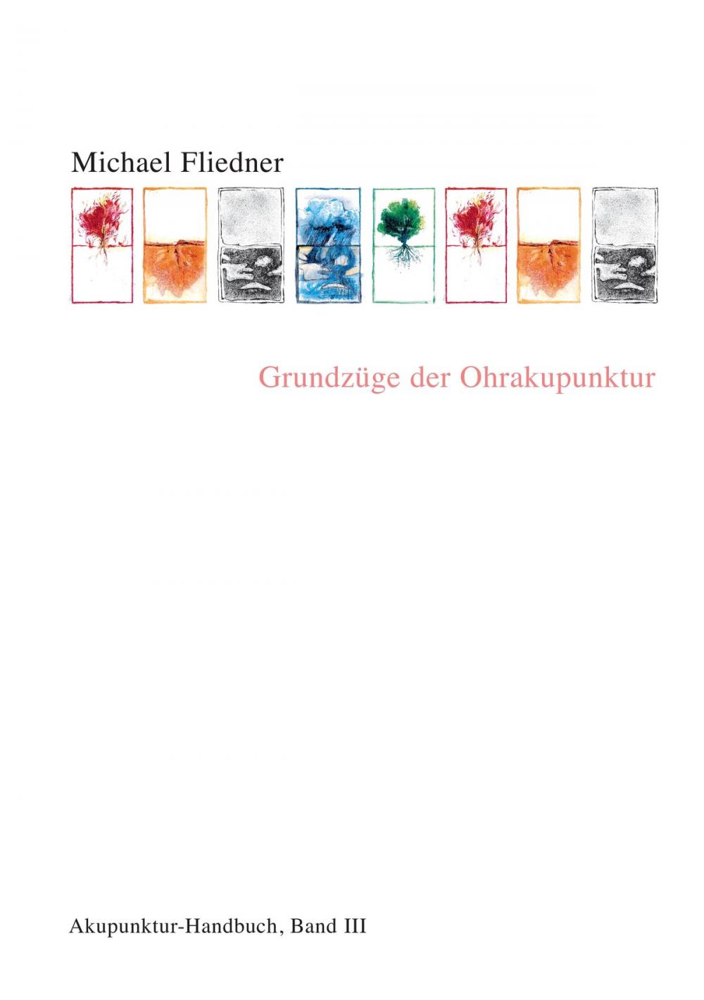 Big bigCover of Grundzüge der Ohrakupunktur