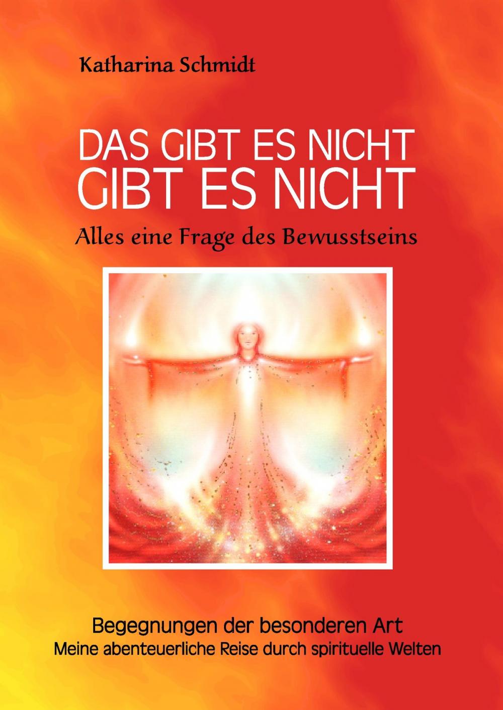 Big bigCover of Das gibt es nicht gibt es nicht - Alles eine Frage des Bewusstseins