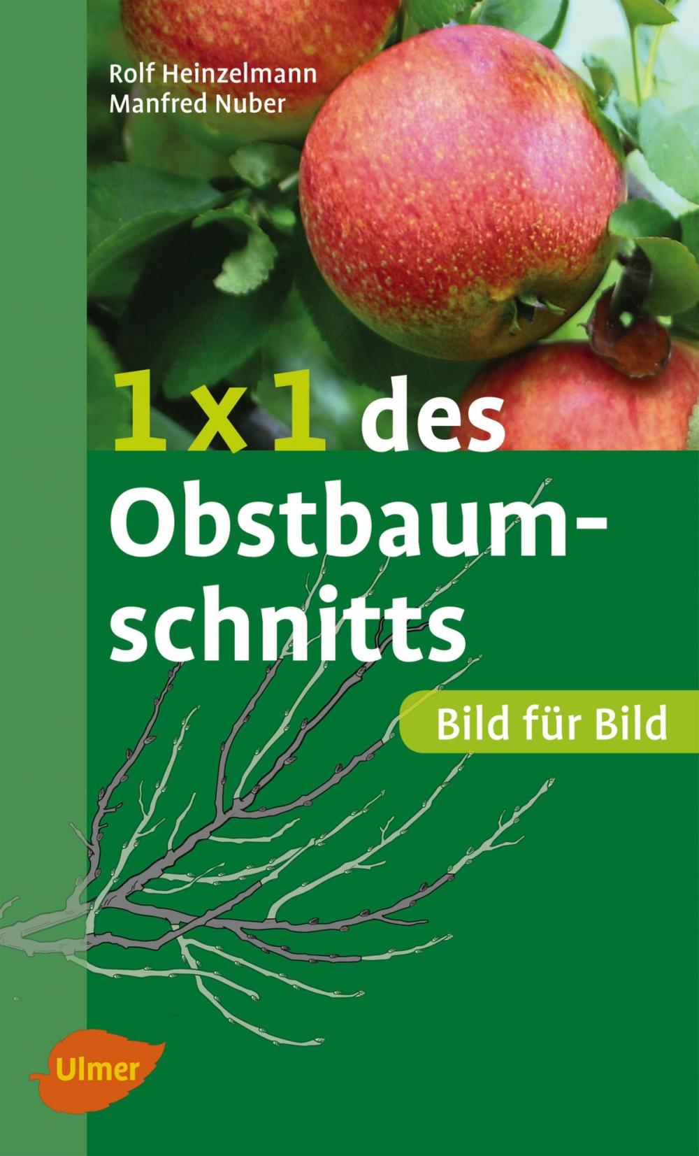 Big bigCover of 1 x 1 des Obstbaumschnitts