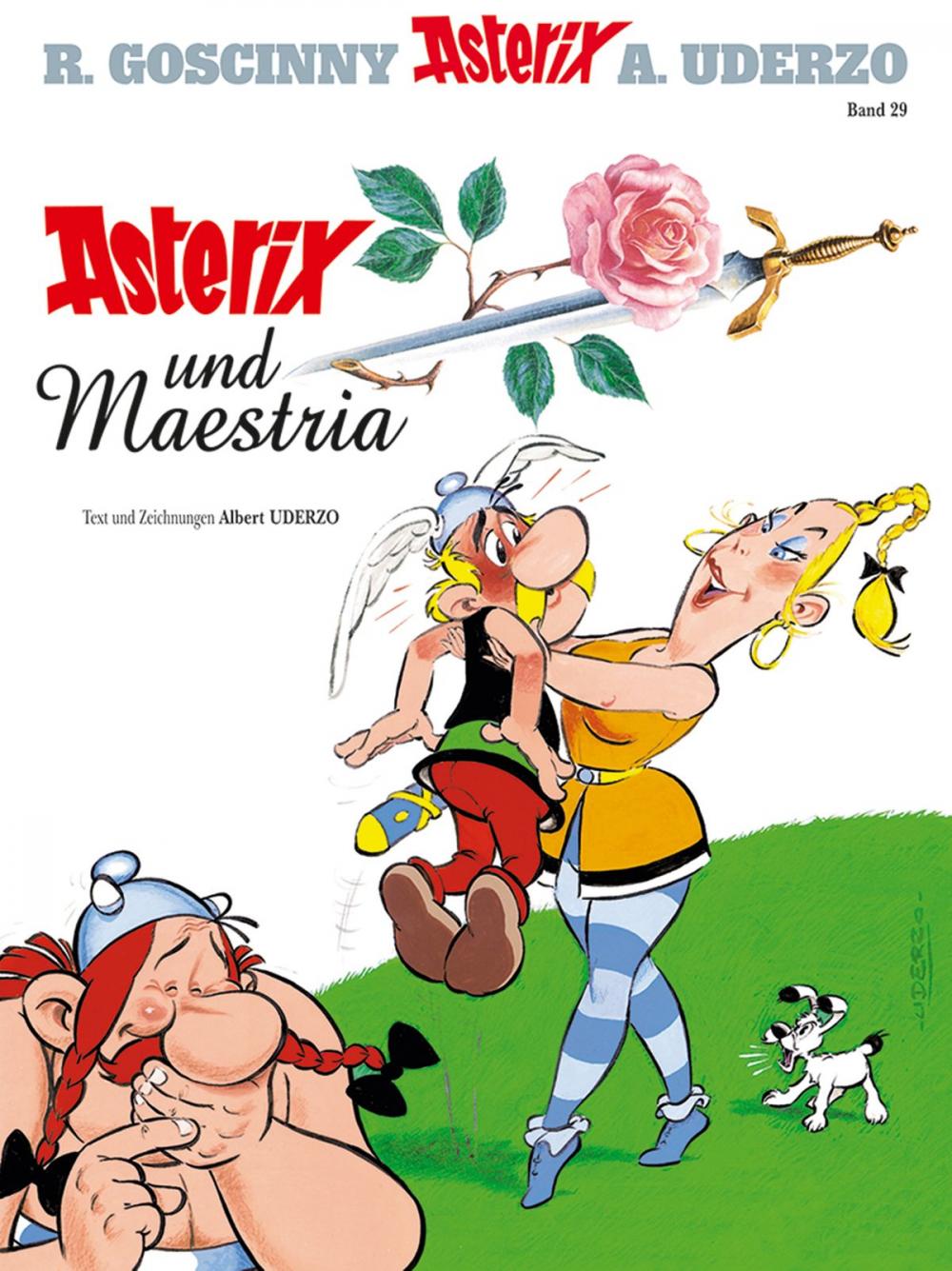 Big bigCover of Asterix 29