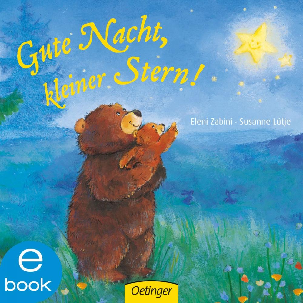 Big bigCover of Gute Nacht, kleiner Stern!