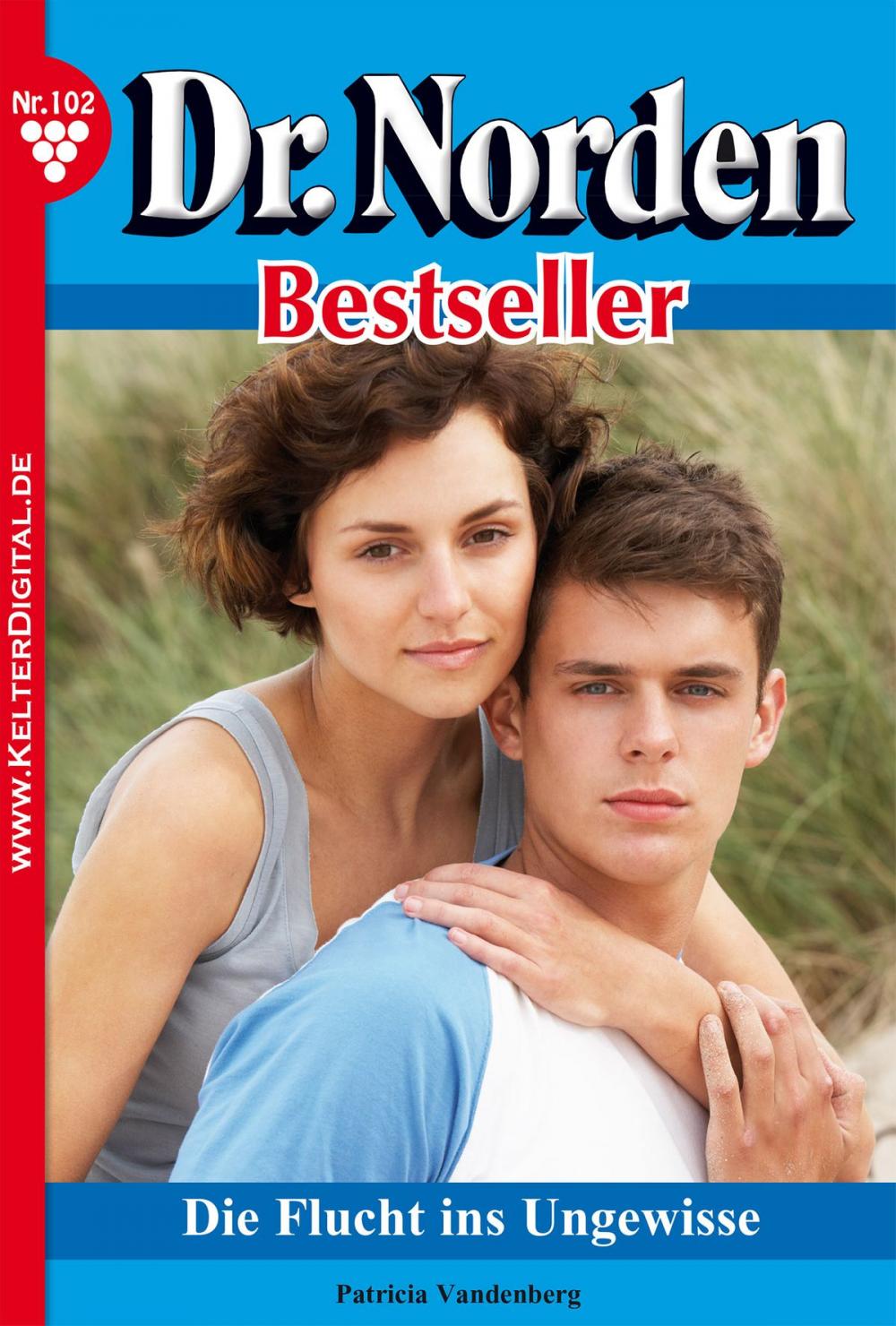 Big bigCover of Dr. Norden Bestseller 102 – Arztroman