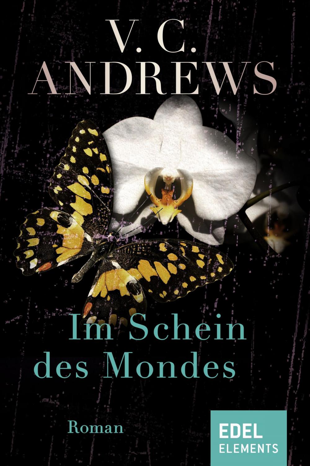 Big bigCover of Im Schein des Mondes