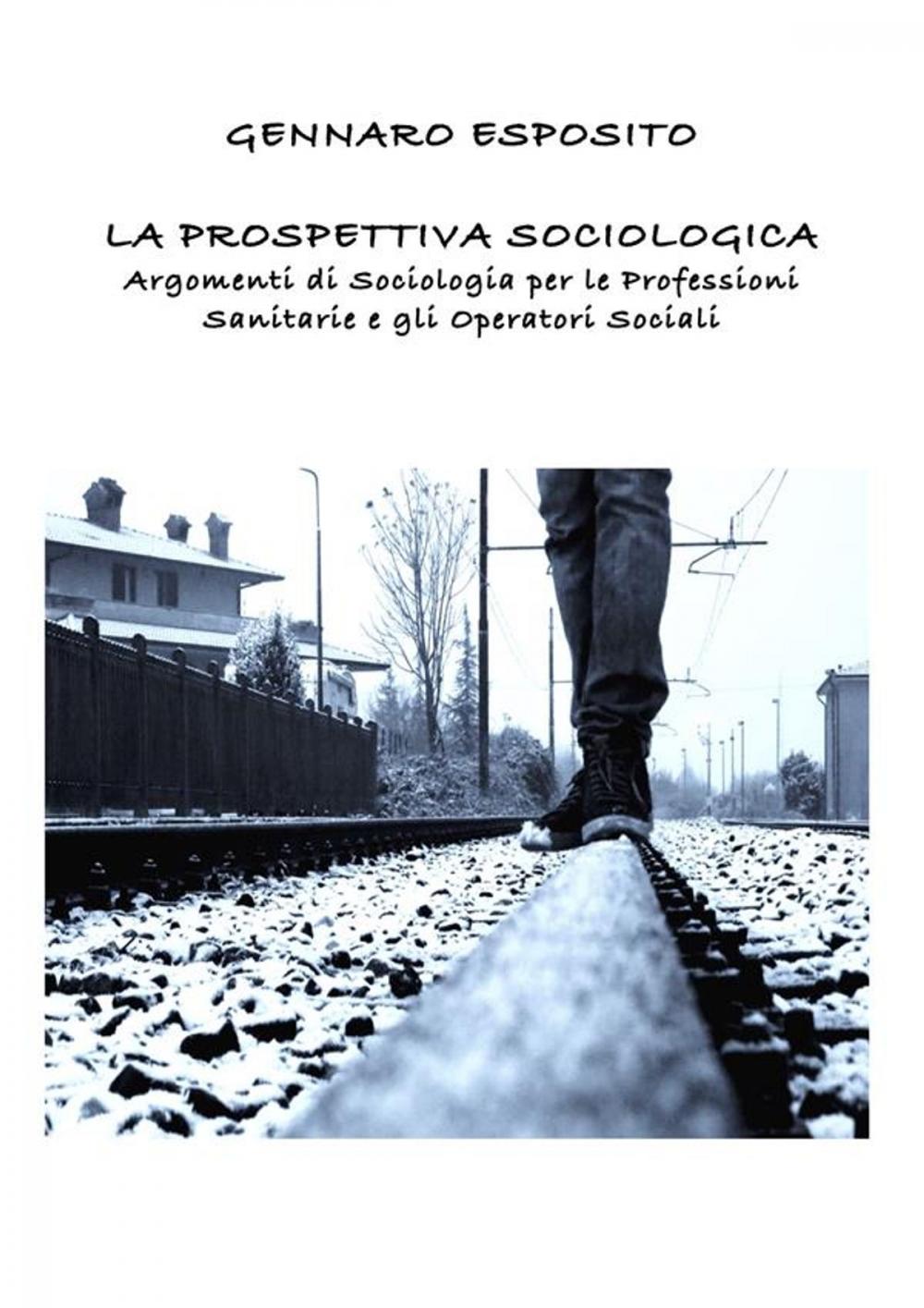 Big bigCover of LA PROSPETTIVA SOCIOLOGICA Argomenti di Sociologia per le Professioni Sanitarie e gli Operatori Sociali